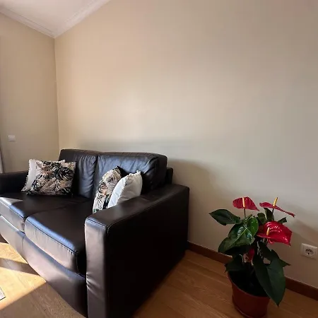 Apartamento Heart Of Madeira *